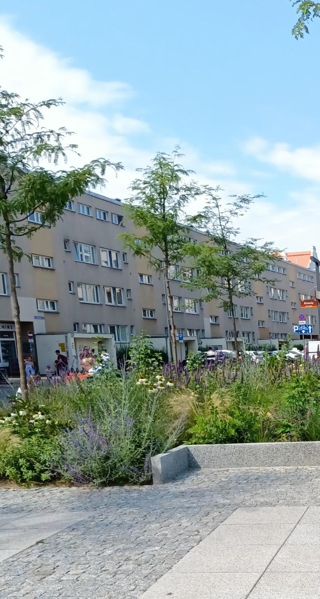 Kotlarska Apartment Wrocław Kültér fotó