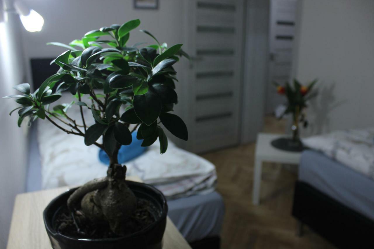 Kotlarska Apartment Wrocław Kültér fotó